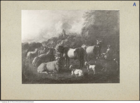 Vorderseite von bh177495_recto