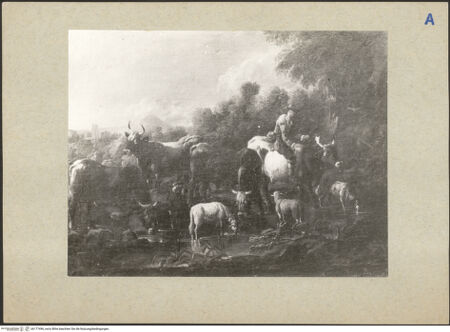 Vorderseite von bh177496_recto