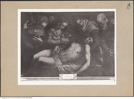 Vorderseite von bh177665_recto