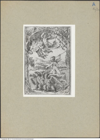 Vorderseite von bh177746_recto