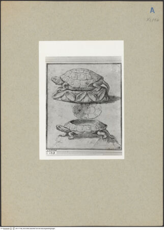 Vorderseite von bh177758_recto