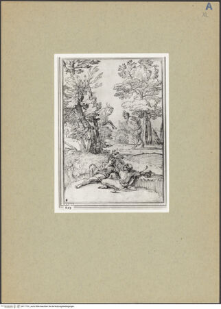 Vorderseite von bh177761_recto