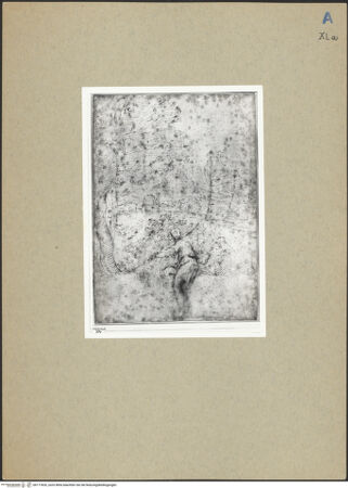 Vorderseite von bh177826_recto