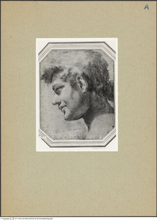 Vorderseite von bh177845_recto