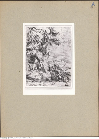 Vorderseite von bh177949_recto