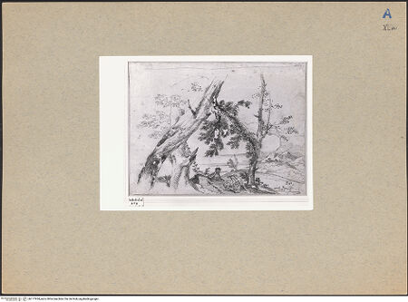 Vorderseite von bh177954_recto