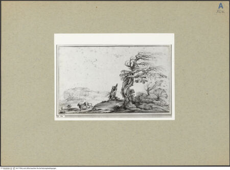 Vorderseite von bh177994_recto