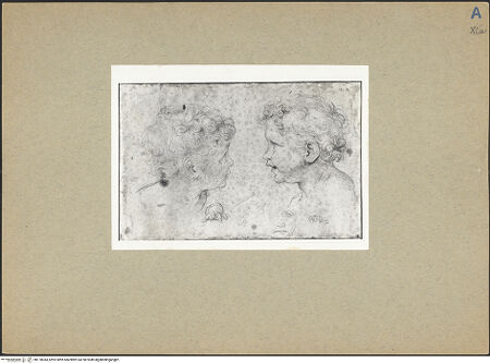 Vorderseite von bh178044_recto