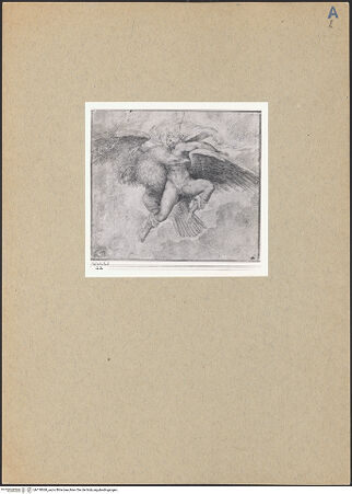 Vorderseite von bh178060_recto