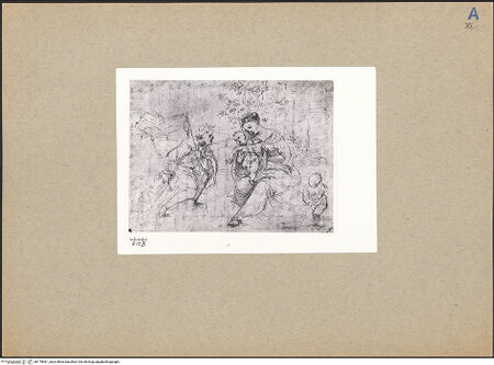 Vorderseite von bh178061_recto