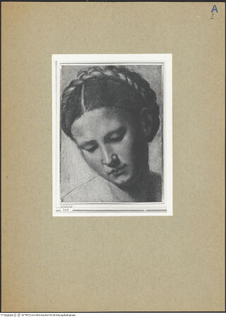 Vorderseite von bh178072_recto