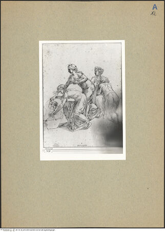 Vorderseite von bh178120_recto