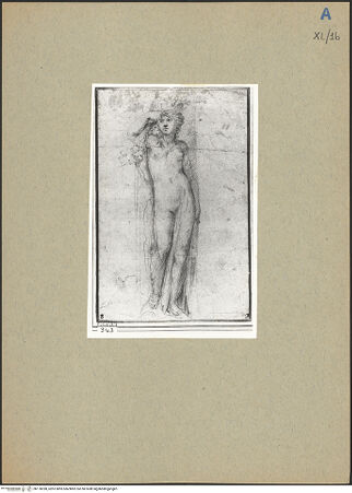 Vorderseite von bh178390_recto