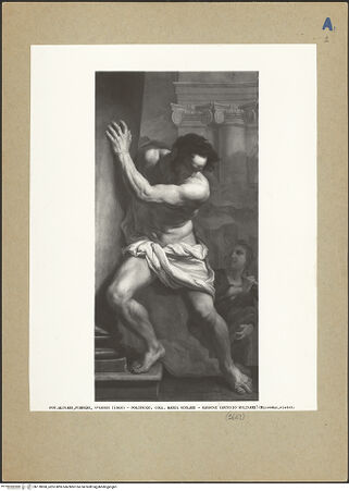 Vorderseite von bh178960_recto