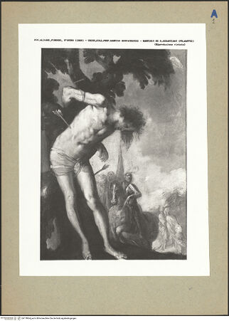 Vorderseite von bh178964_recto