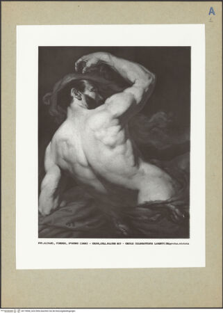 Vorderseite von bh178968_recto