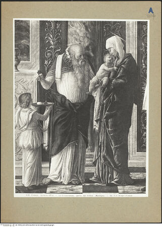 Vorderseite von bh178985_recto