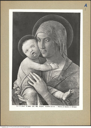 Vorderseite von bh179019_recto