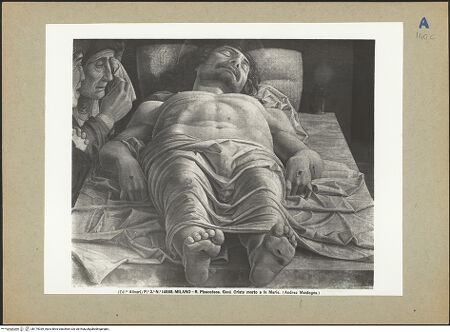 Vorderseite von bh179039_recto