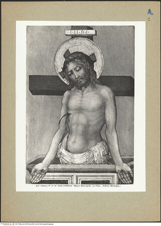 Vorderseite von bh179046_recto