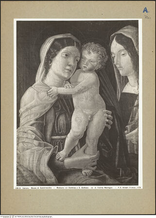 Vorderseite von bh179099_recto