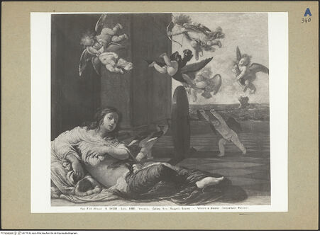 Vorderseite von bh179162_recto