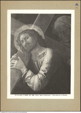 Vorderseite von bh179286_recto