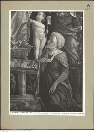 Vorderseite von bh179290_recto