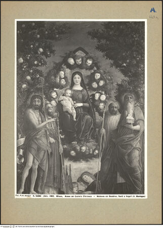 Vorderseite von bh179295_recto