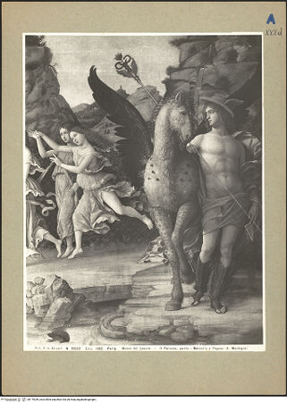 Vorderseite von bh179296_recto