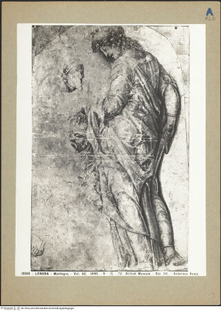 Vorderseite von bh179305_recto