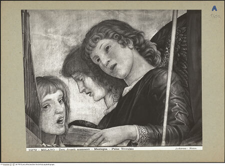 Vorderseite von bh179310_recto