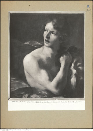 Vorderseite von bh179465_recto