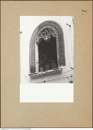 Vorderseite von bh179620_recto