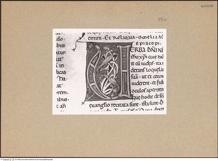 Vorderseite von bh179863_recto