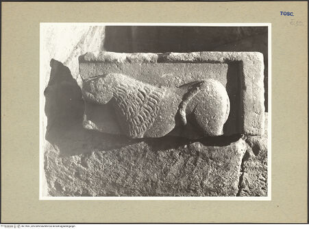 Vorderseite von bh179961_recto