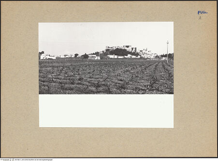 Vorderseite von bh180011_recto