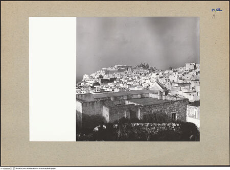 Vorderseite von bh180065_recto