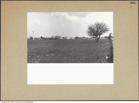 Vorderseite von bh180085_recto