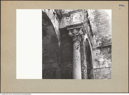 Vorderseite von bh180091_recto