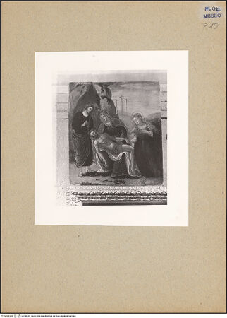 Vorderseite von bh180269_recto