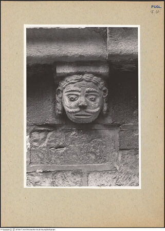 Vorderseite von bh180317_recto