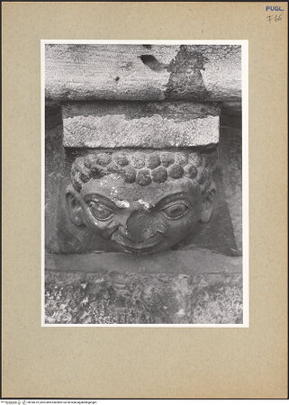 Vorderseite von bh180319_recto