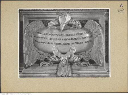 Vorderseite von bh180888_recto