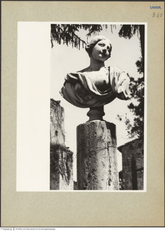 Vorderseite von bh180966_recto