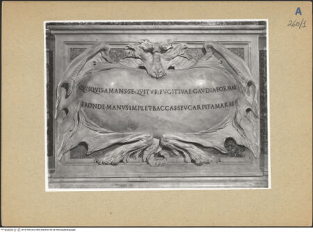 Vorderseite von bh181008_recto