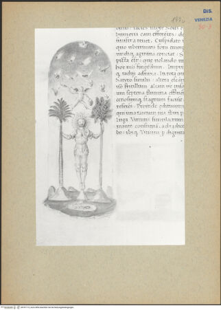 Vorderseite von bh181173_recto