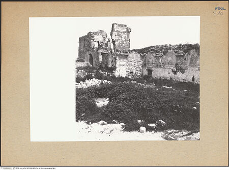 Vorderseite von Bibliotheca Hertziana [https://www.deutsche-digitale-bibliothek.de/content/lizenzen/rv-fz/] Santa Maria di CasoleRuine des Refektoriums - Kreuzgang und Ruine des Klosters, bh181564_recto. Foto: Lehmann-Brockhaus, Otto.