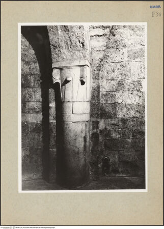 Vorderseite von bh181724_recto