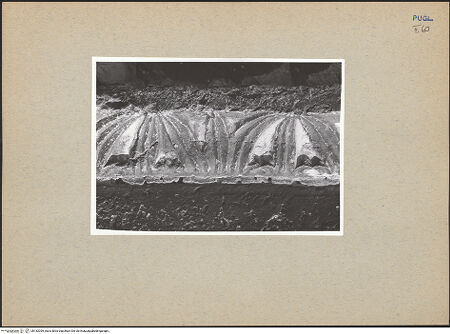 Vorderseite von bh182059_recto